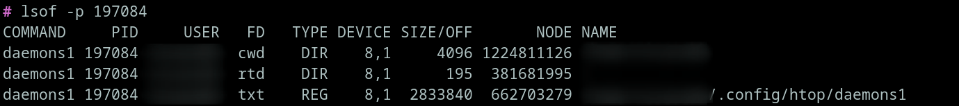 lsof_kinsing_malware